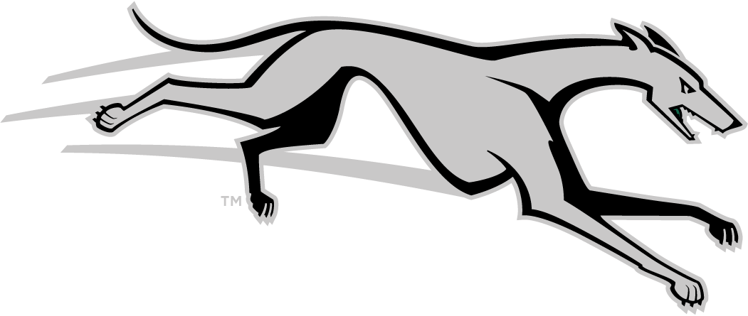 Loyola-Maryland Greyhounds 2011-Pres Partial Logo diy iron on heat transfer
